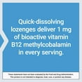 thumbnail image 5 of Life Extension Vitamin B12 Methylcobalamin, nerve health supplement, cognitive support, energy vitamin, methylcobalamin B12, 1 mg, quick-dissolving, vegetarian, 60 lozenges, 5 of 10
