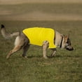 thumbnail image 4 of CICRKHB Dog Vest Dog Cat Pet Vest Cute Style Summer Breathable Leisure Pet Thin Clothing Pet Supplies Yellow, 4 of 4