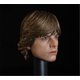 thumbnail image 2 of Figure Head Sculpt HiPlay a escala 1/6 macho para HS022 de 12 pulgadas, 2 of 4
