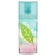 thumbnail image 2 of Perfume Elizabeth Arden Té Verde Brisa De Coco 100 ml EDT, 2 of 4