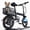 Black basket, variant on 14" Electric Bike for Adults, 500W Peak Motor,20MPH 35Mi Range, 36V 432Wh Hidden Battery with Rear Basket, Mini Commuter Ebike Portable Design, UL2849,Class2