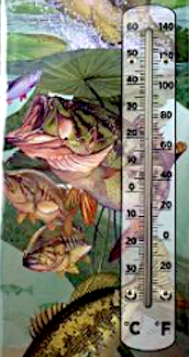 Thermometer Hanging Metal ~ 22 Gauge Metal Lithograph Print Measures 5" x 17" Indoors or Outdoors {Guy Harvey Fish}