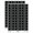 Black, variant on Void Double Line Border Sticker Set - Red - Gloss Finish - 1.25" Mini