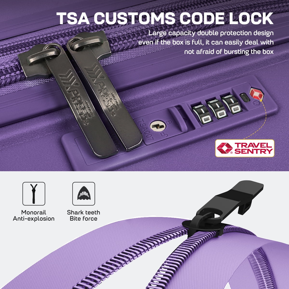 20" Carry On Luggage Airline Approved,Hardshell Suitcases with Spinner Wheels & TSA Lock,Lightweight Expandable Rolling Luggage, Purple - DQ135