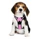 thumbnail image 2 of Arnes Para Perros De Raza Chica. Pechera Talla Extra Chica, 2 of 8