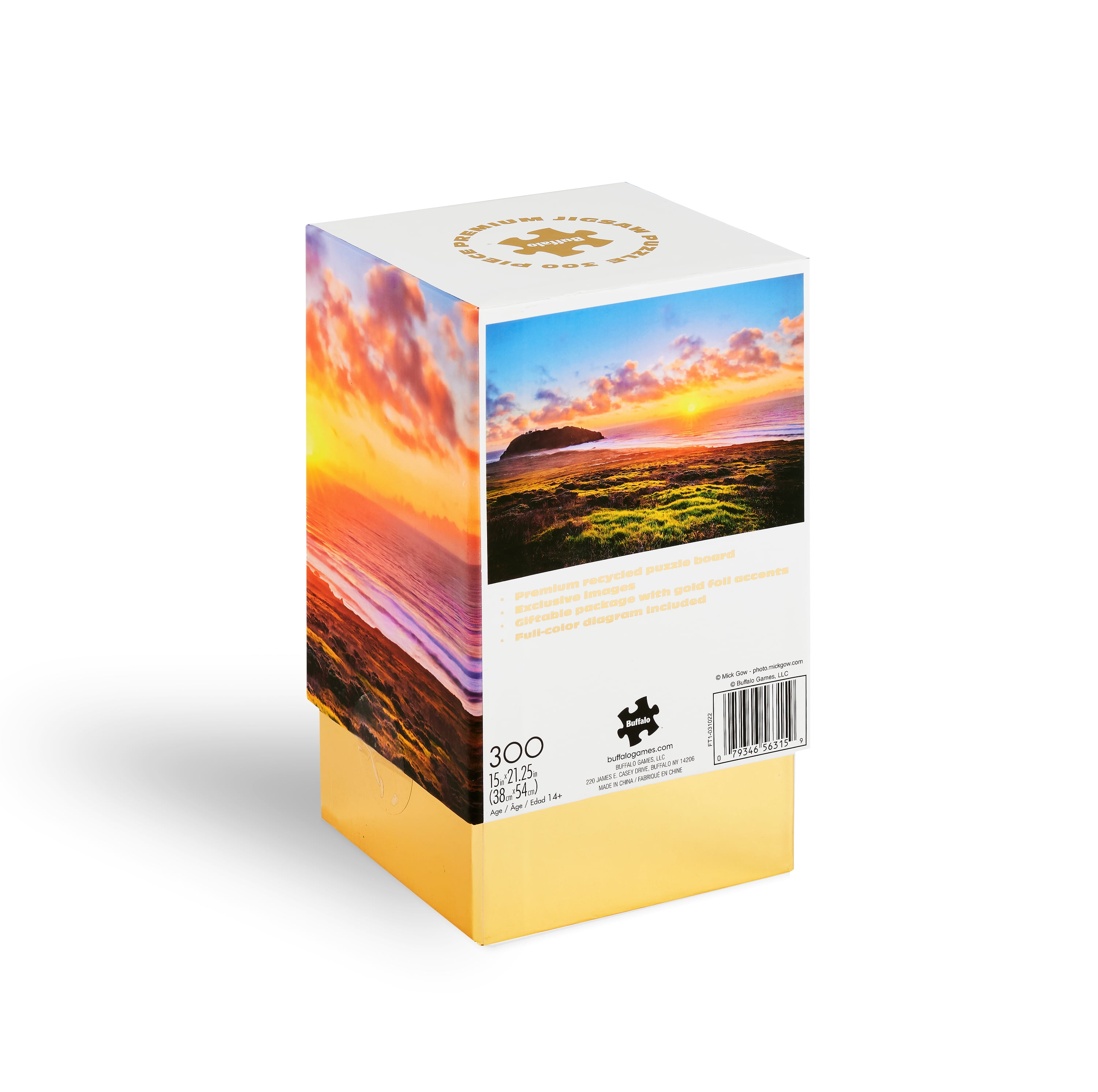 Buffalo Games 300-Piece Gold Collection Point Sur Jigsaw Puzzle