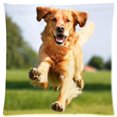 thumbnail image 1 of BOSDECO Animal Cute Golden Retriever Dog Pillow Case Pillowcases Cushion Case Cover 18x18 inches, 1 of 1