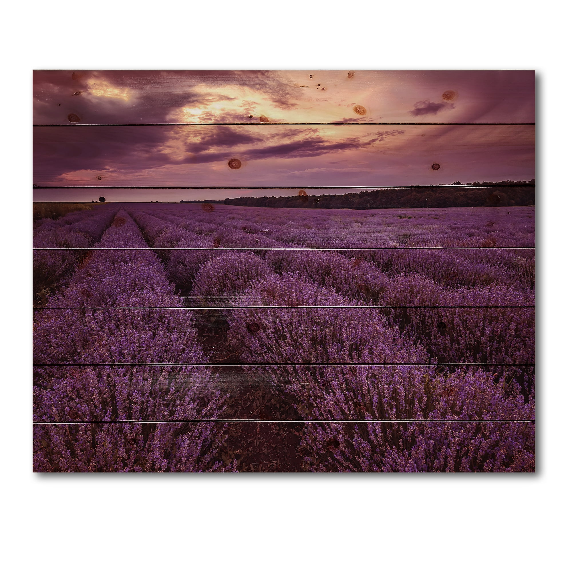 Designart 'Dramatic Clouds and Sunrise Over Lavender Field III' Farmhouse Print on Natural Pine Wood