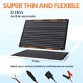 thumbnail image 3 of Cargador de panel solar FlexSolar 20W 12V con controlador y conectores, 3 of 7