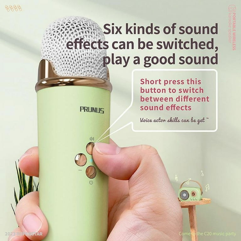 TOSING G6 Pro Karaoke Mic With Bluetooth Speaker - 20W Portable Wireless Singing Machine For Kids & Adults