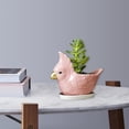 thumbnail image 4 of Lindo adorno de para pntas suculentas Oficina Aloe Rosa Gloria Contenedor suculento, 4 of 9