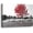 Landscape Tree, variant on Canvas Wall Art for Living Room Scenery Artwork for Bathroom Modern Prints Wall Painting Wall Decor for Bedroom Landscape Tree Oil Paintings for Kid Room Size 11.5"x15"