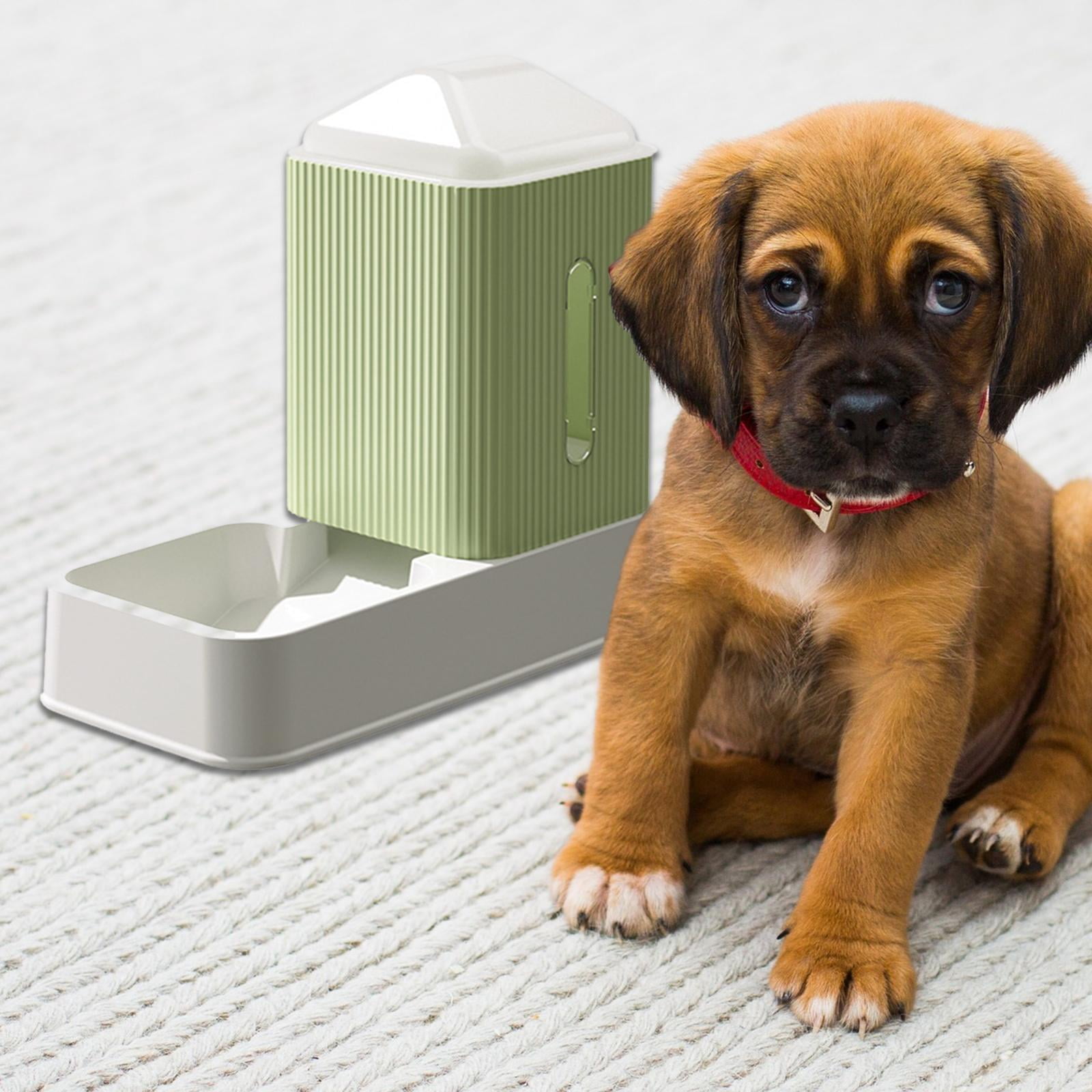 Bvdfgk 3.5L Automatic Cat Feeder Food Container Dog Feeding Bowls for Small Medium Dog Green