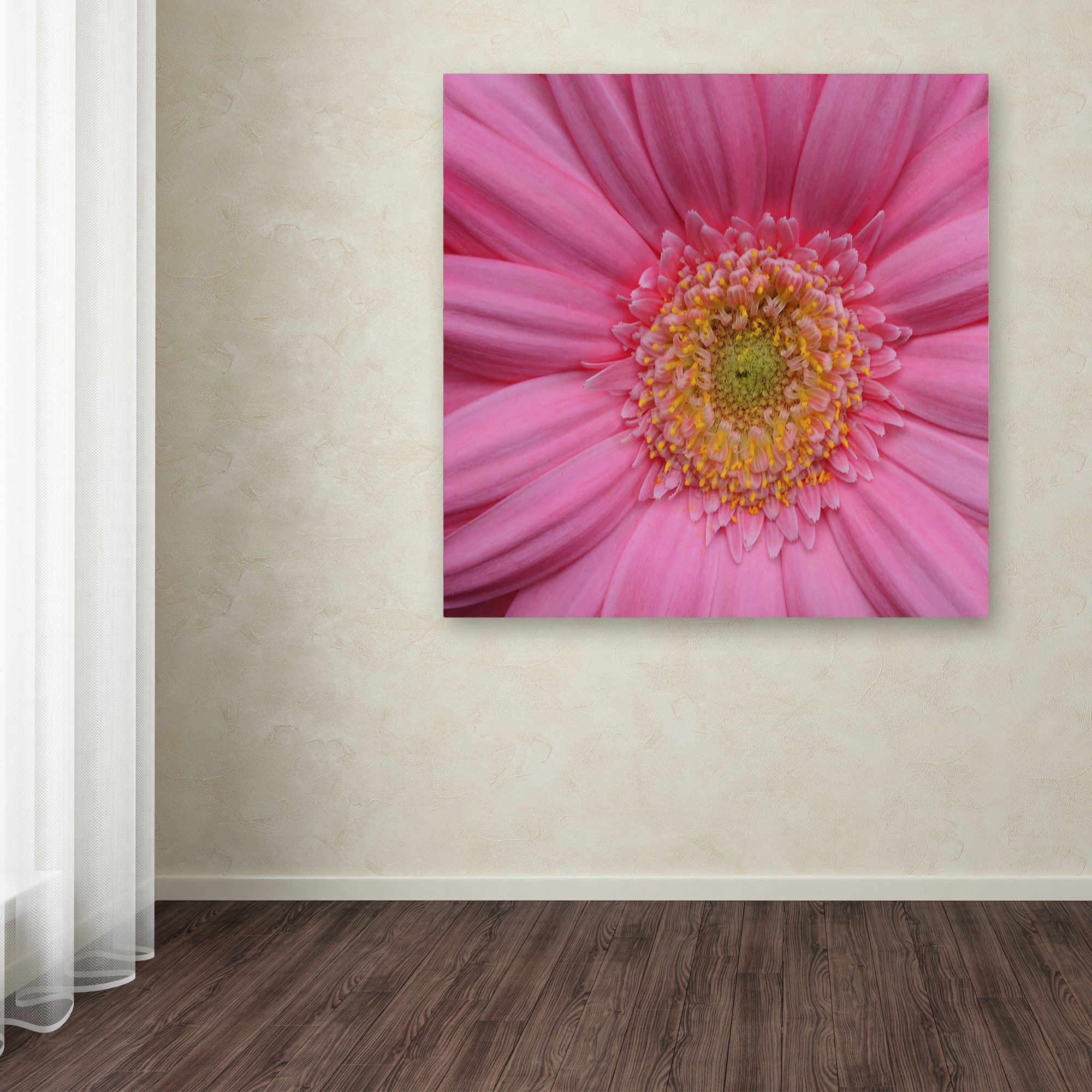 Trademark Fine Art "Pink" Canvas Art by Kurt Shaffer