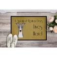 thumbnail image 2 of Carolines Treasures BB1484MAT Italian Greyhound Spoiled Dog Lives Here Indoor & Outdoor Mat- 18 x 27 in., 2 of 2