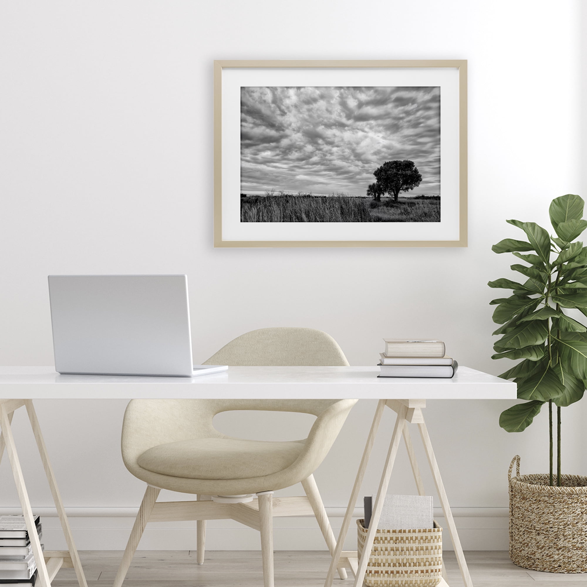 Stupell Industries Solitary Tree Beneath Clouds Birch Framed Print Under Glass, design by Jon Evan