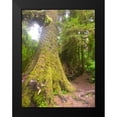 thumbnail image 2 of Grayscale 12x14 Black Modern Framed Museum Art Print Titled - Rainforest II, 2 of 5