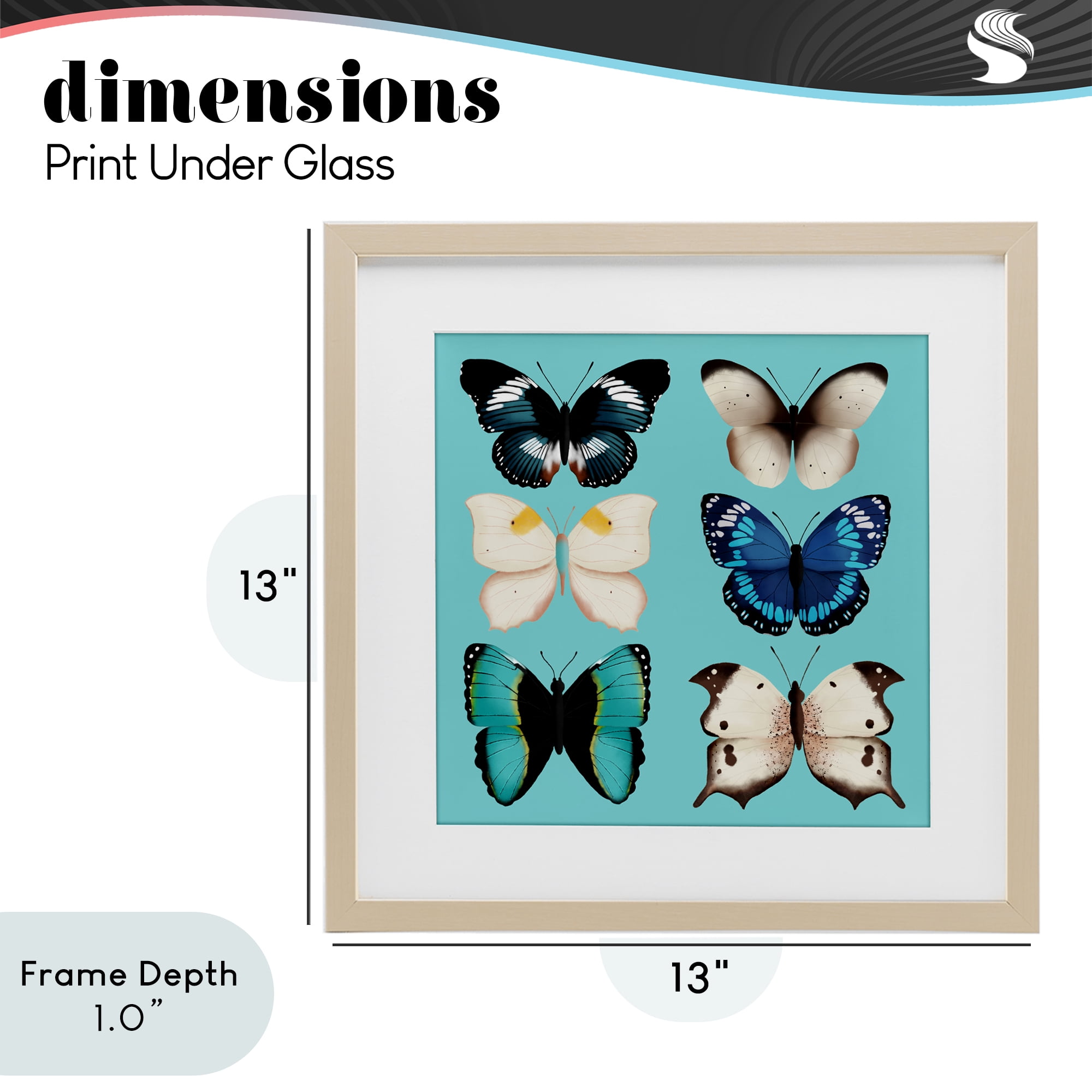 Stupell Industries Six Diverse Butterflies on Turquoise Birch Framed Print Under Glass, design by Metka Hiti