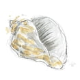 thumbnail image 3 of Vess, June Erica 12x12 Black Modern Framed Museum Art Print Titled - Citron Shell Sketch III, 3 of 5