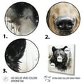 thumbnail image 3 of Designart "Bear Wild I" Animals Canvas Print, 3 of 5
