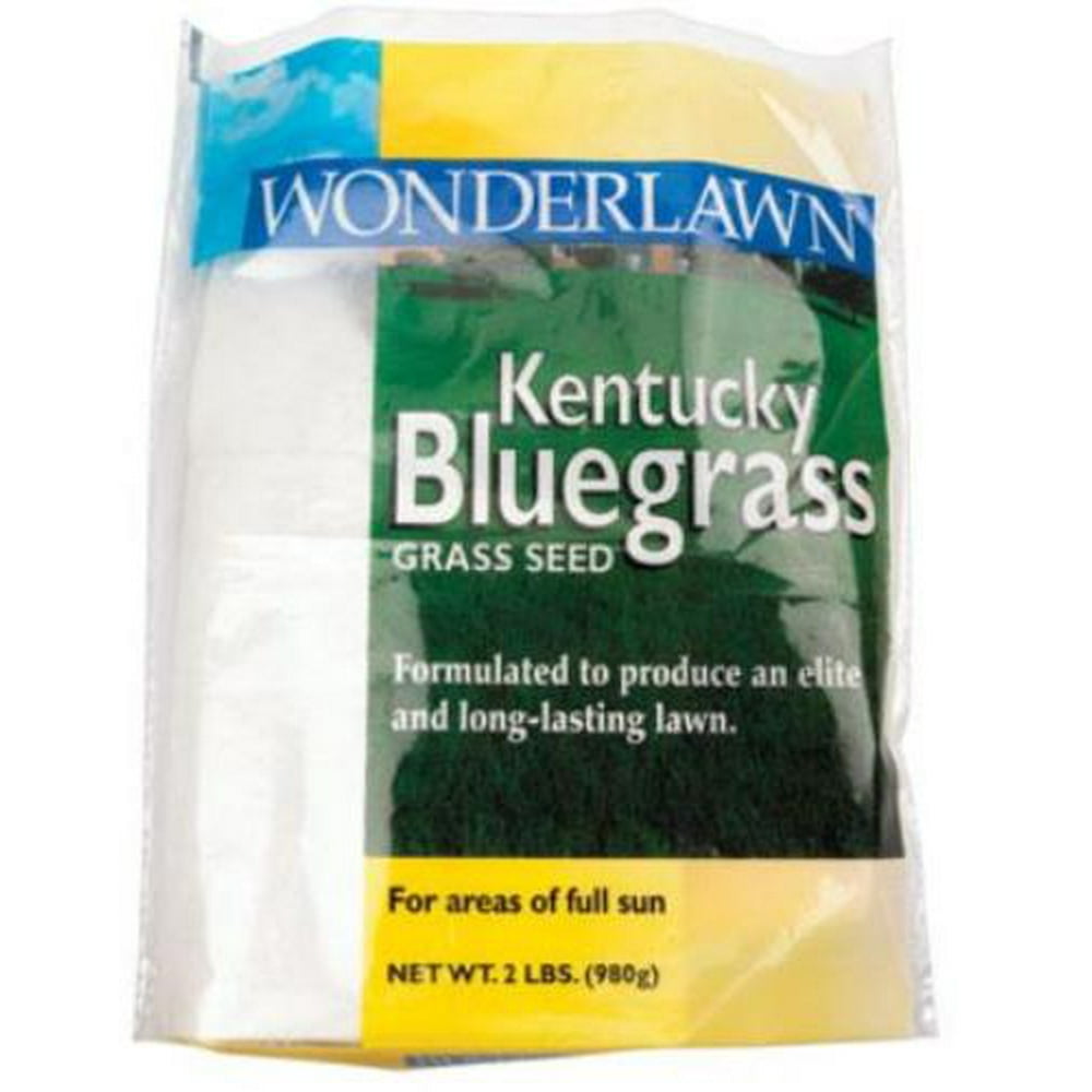 Barenbrug KBGB2ACE00 Kentucky Blue Grass Seed, 2 lbs
