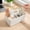 White-HL, variant on MMJ Desk Organizer with Handle Multi-Compartment Plastic Caddy Portable Office Supplies Makeup Storage 8.66x6.10x6.10in