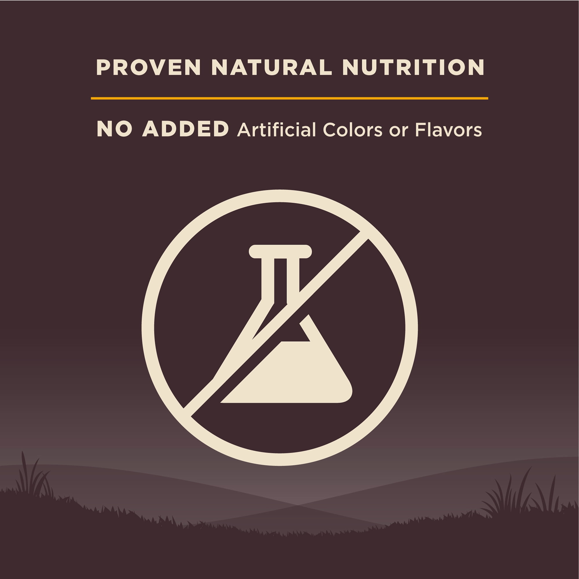 Wellness CORE Puppy Dry Dog Food, Grain Free, High Protein, Natural, Chicken & Turkey Recipe, (26-Pound Bag)