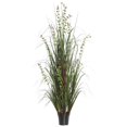 thumbnail image 1 of 48 in. Eucalyptus Grass Potted, 1 of 1