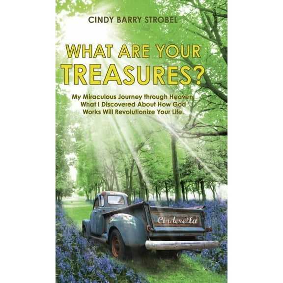 What Are Your Treasures? : My Miraculous Journey through Heaven: What I Discovered About How God Works Will Revolutionize Your Life. (Hardcover)