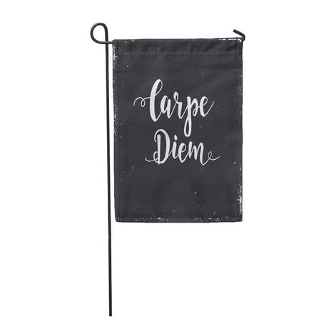 SIDONKU Carpe Diem Latin Phrase Means Capture The Moment Hand Lettered Calligraphic Garden Flag Decorative Flag House Banner 12x18 inch