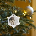 thumbnail image 7 of 3drose, Argentina, Salta, Iruya, Street Dog - Sa01 Jri0149 - Jutta Riegel, 3 inch Snowflake Porcelain Ornament, 7 of 7