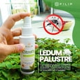 thumbnail image 2 of FILIP NATURAL, Citro-Fly Spray Repelente De Insectos, Ledum Palustre, Citronela, Auxiliar En Protección Efectiva Contra Picaduras De Insectos, No Irrita La Piel, Suave Aroma, 120ml., 2 of 2