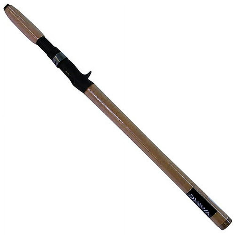 Daiwa DXS Salmon and Steelhead Casting Rod, 9'6 Length, 2-Piece Rod,  Medium Power, Fast Action