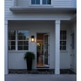 thumbnail image 2 of Elegant Lighting Janney 7 inch Outdoor Pendant in Black, 2 of 8
