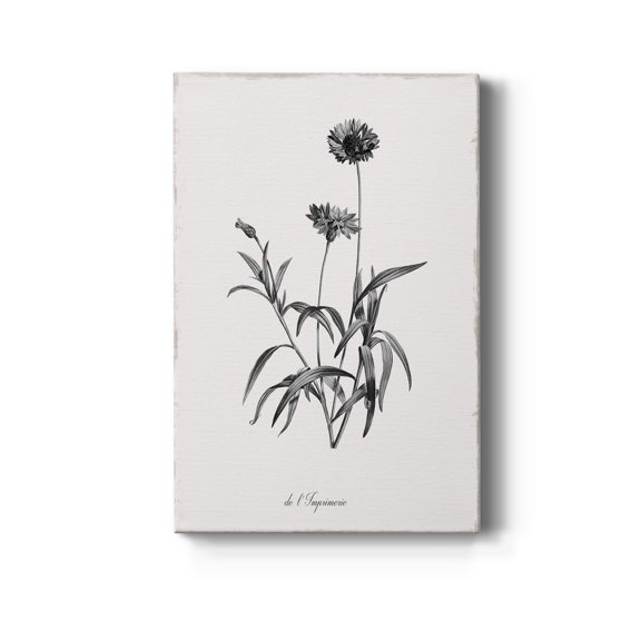 Simply Imperial Premium Gallery Wrapped Canvas - Ready to Hang - 8 x 12