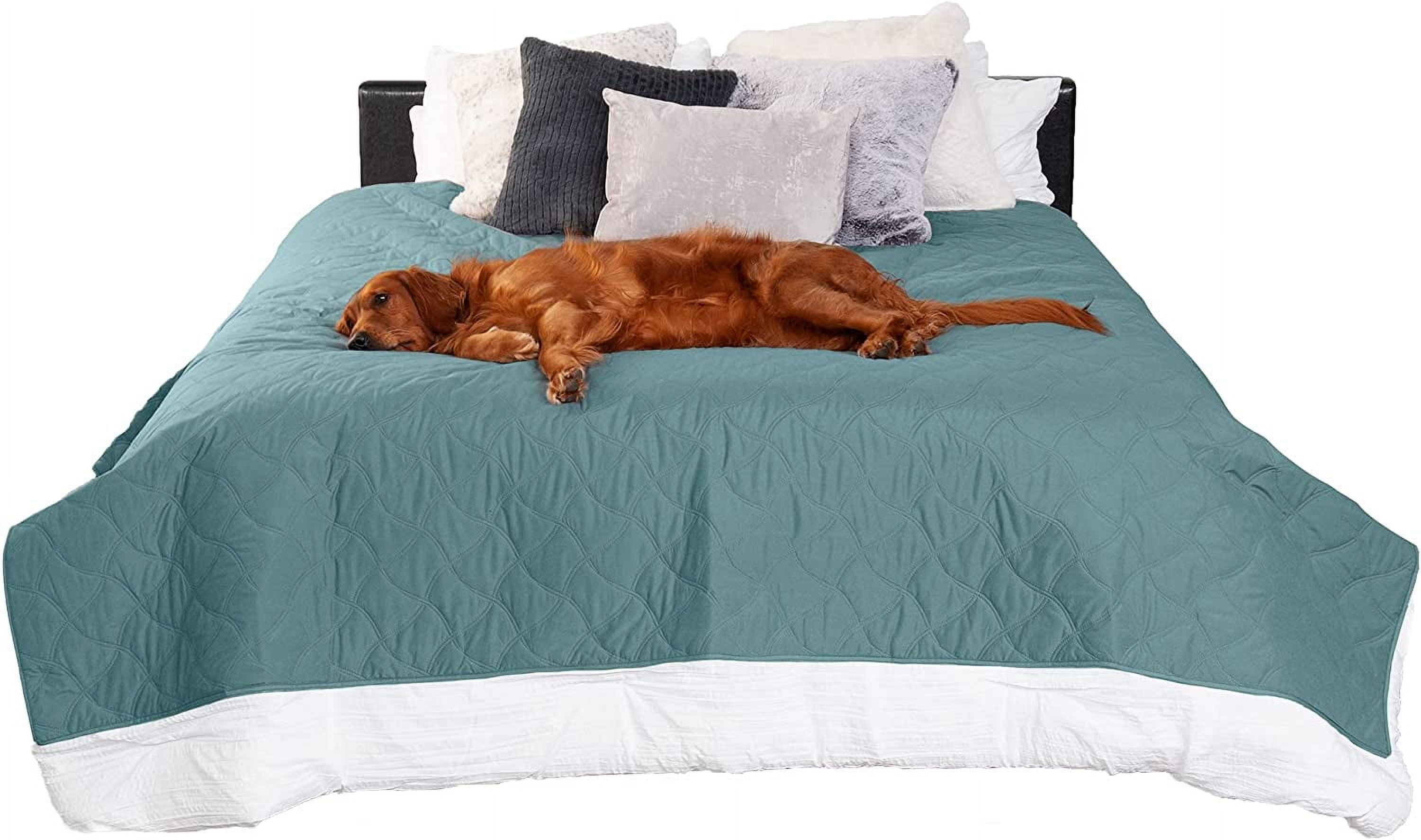 FurHaven Non-Skid Quilted Twill Waterproof Bed & Furniture Protector, Nile Blue, Extra Large/King, 1 Count