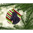 thumbnail image 2 of Carolines Treasures SS4558-CO1 Briard Candy Cane Holiday Christmas Ceramic Ornament 3 in multicolor, 2 of 3