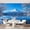 Color 1, variant on Wall Mural Peel and Stick Bull buffalo looking camera Self-Adhesive Wallpaper Removable Wall Decal Wall Sticker Home Decor for Living Room Bedroom 100"x144"