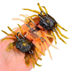 thumbnail image 3 of 6pcs Cranka Crab Lure Crab Bait 3D Simulated Crab Soft Lure with Double Hooks for Fishing Accessories Tools, 3 of 5