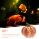 thumbnail image 5 of unbranded Cueva Adorable Para Peces En Acuario Con En De Calabaza, 5 of 6