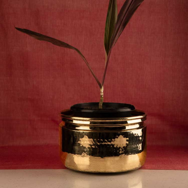 P•TAL Brass Planters | Corrosion-Resistant Metal | Perfect Flower Pots Hammered Bottoms (Medium, Golden Brass)