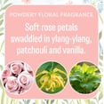 thumbnail image 3 of Scents Scented Sachets | Baby Powder | Home Fragrance | Long Lasting (Up to 6 Months) | Air ener for Closets, Drawers, & Cars | 6 Pack, 3 of 4