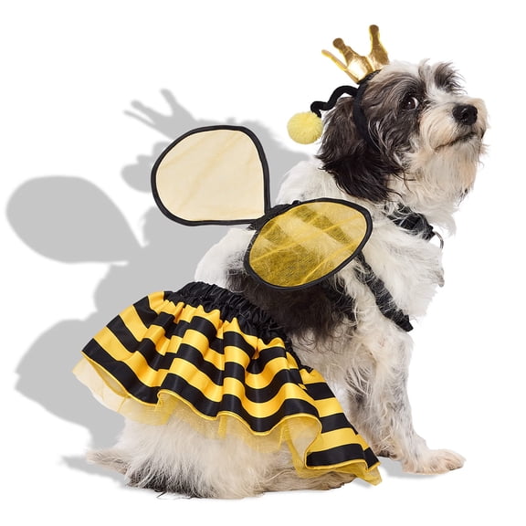 Petco Queen Bee 3-Piece Pet Halloween Costume X-Large