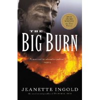 The Big Burn