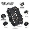 thumbnail image 5 of Didog Soft Leather Dog Collars for Pets Adjustable Neck Strap with Durable Metal Buckle and D-ring, 5 of 8