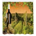 thumbnail image 3 of Ambesonne Winery Shower Curtain, Bottle Grapes Sunset, 69"Wx84"L, Green Orange, 3 of 5