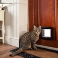 thumbnail image 3 of Gatera para gatos, gatera para gatos, perros o animales pequeños controlable con cerradura fácil de instalar M, negro JUNJUN, 3 of 5