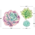thumbnail image 3 of Teacher Created Resources TCR8590 Rustic Bloom Succulent Accents - Assorted Sizes, 3 of 6