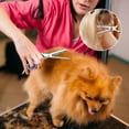 thumbnail image 2 of Scissor set-Pet Dog Grooming Scissors Trimmer Kit Straight Curved Shears Comb Leather Bag, 2 of 8