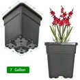 thumbnail image 6 of 10 Pack Plastic Plant Pots Seedling Cups, 7 Gallon Plant Container Square Nursery Pots Fit for Seeds Germination, Seedlings Growing, Succulents Planting, Seeds Starting, Black, 6 of 8